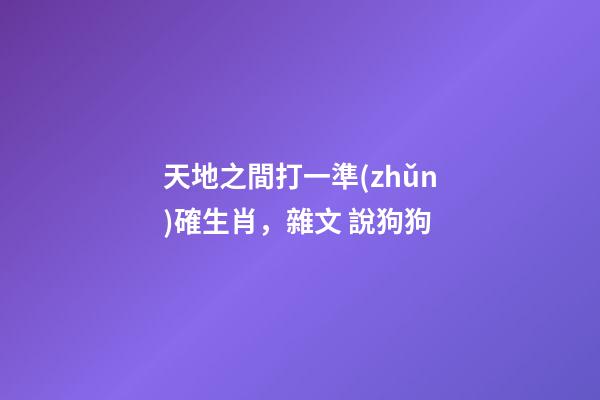 天地之間打一準(zhǔn)確生肖，雜文 說狗狗